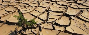 Una teologia declinata al futuro. A Dakar per un'agenda planetaria in prospettiva liberatrice (Claudia Fanti)