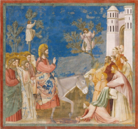 Domenica delle Palme - Passione del Signore - Anno A