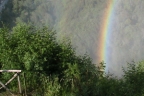 Ritorna al tuo cuore