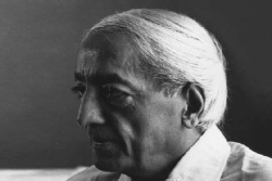 Krishnamurti, il veggente che camminava solo (François Favre)