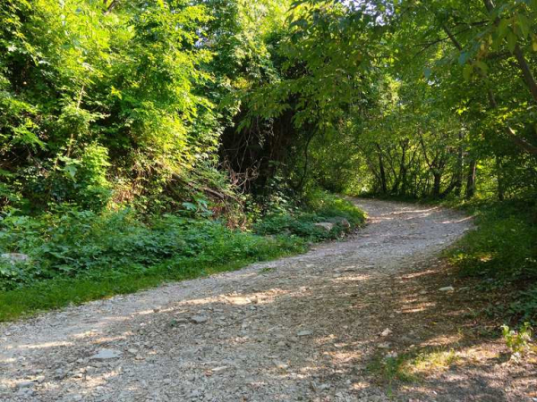 La strategia della scorciatoia (Faustino Ferrari)