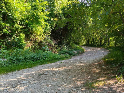 La strategia della scorciatoia (Faustino Ferrari)