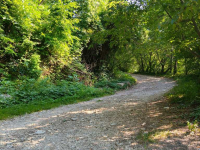 La strategia della scorciatoia (Faustino Ferrari)