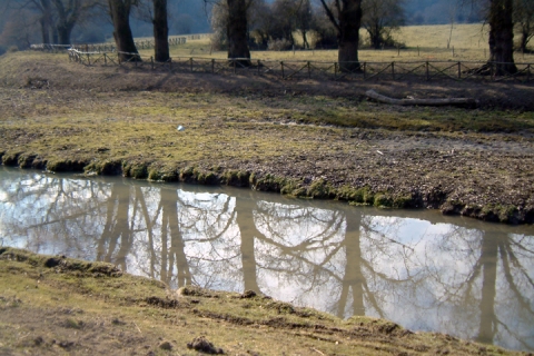 riflessi sul Cremera