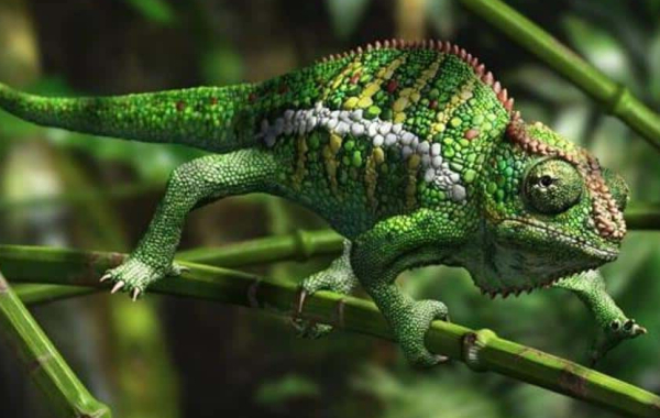 L'effetto camaleonte (Luciano Sandrin)