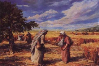 El Dios que nos revelan las mujeres (Carmiña Navia Velasco)