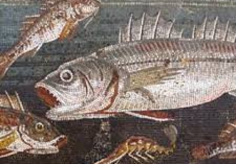 Commercio e conservazione del pesce in Galilea ai tempi di Gesù